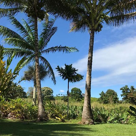 Island Goode'S - Luxury Adult Only Accommodation Near Hilo Papaikou Exteriör bild