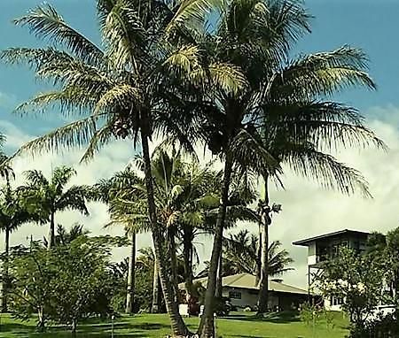 Island Goode'S - Luxury Adult Only Accommodation Near Hilo Papaikou Exteriör bild