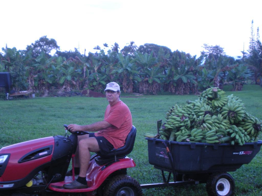 Island Goode'S - Luxury Adult Only Accommodation Near Hilo Papaikou Exteriör bild