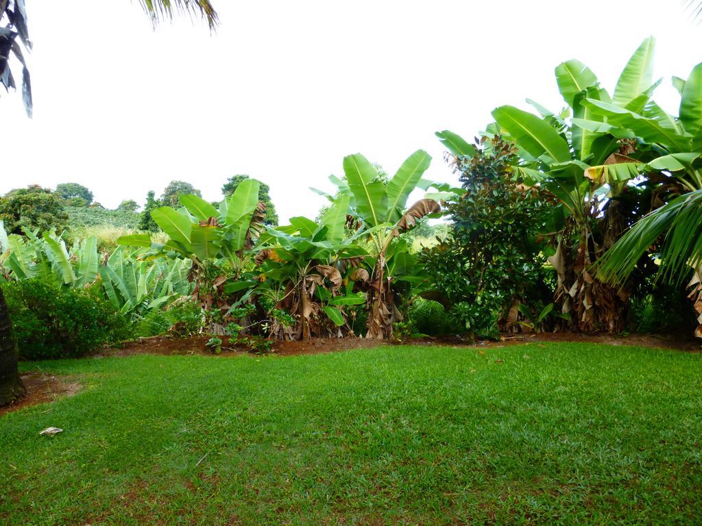 Island Goode'S - Luxury Adult Only Accommodation Near Hilo Papaikou Exteriör bild