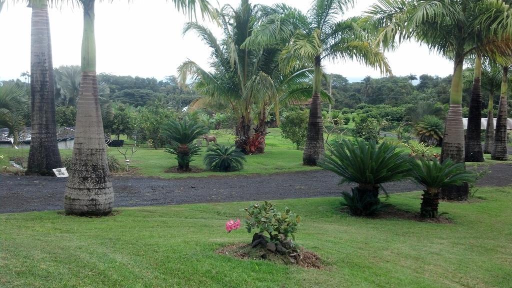 Island Goode'S - Luxury Adult Only Accommodation Near Hilo Papaikou Exteriör bild