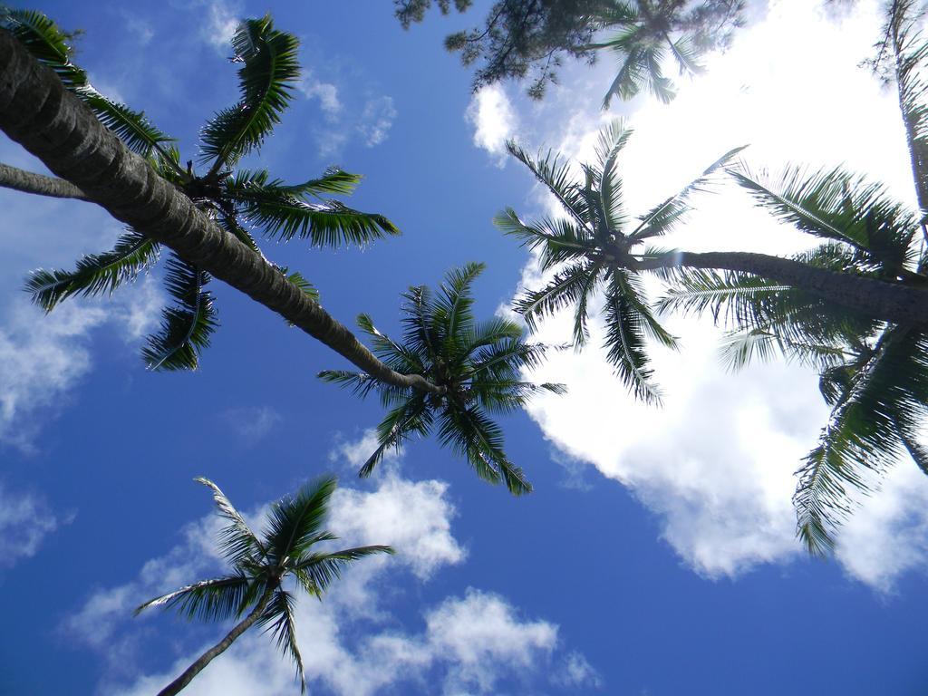 Island Goode'S - Luxury Adult Only Accommodation Near Hilo Papaikou Exteriör bild