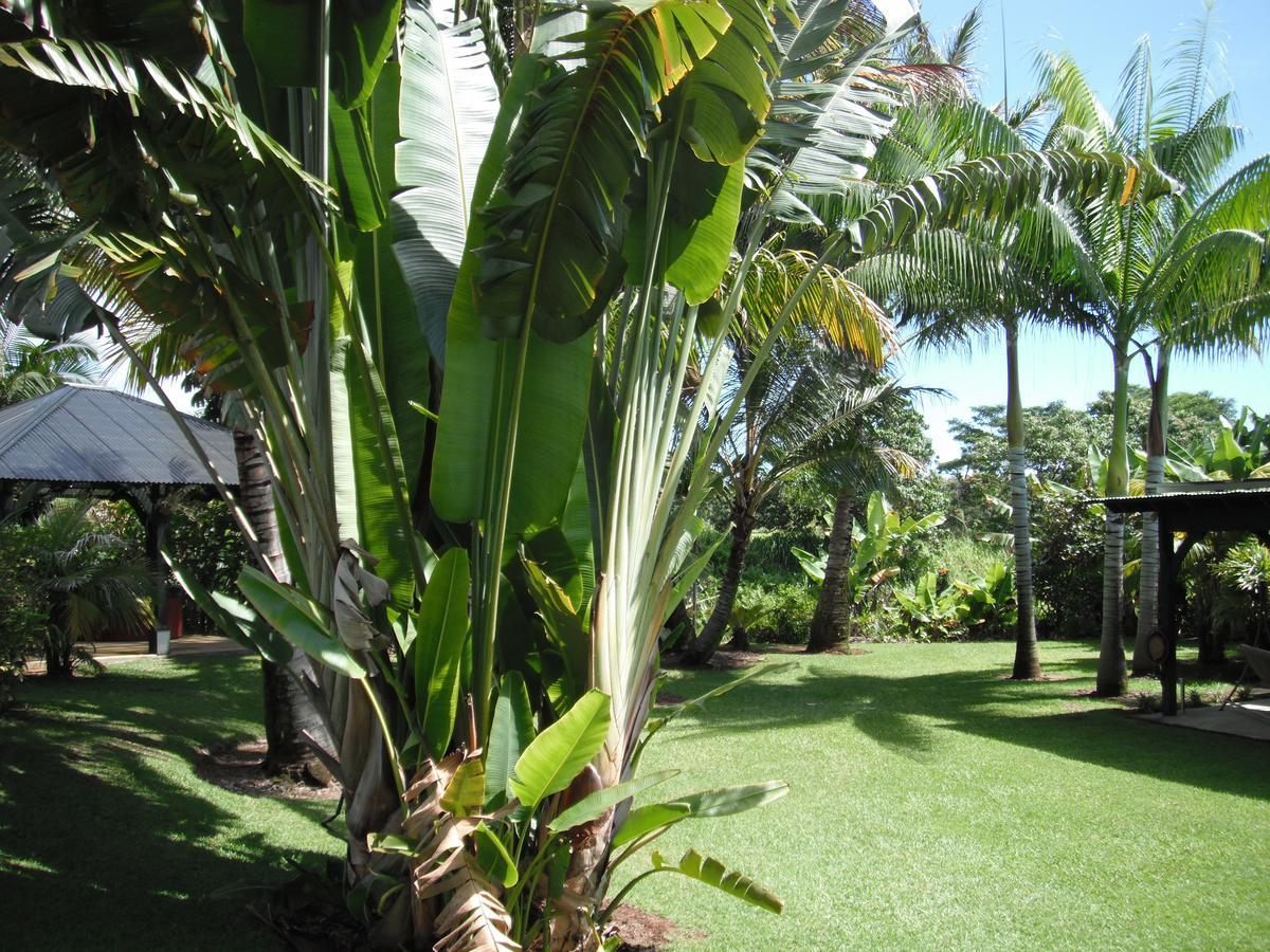 Island Goode'S - Luxury Adult Only Accommodation Near Hilo Papaikou Exteriör bild