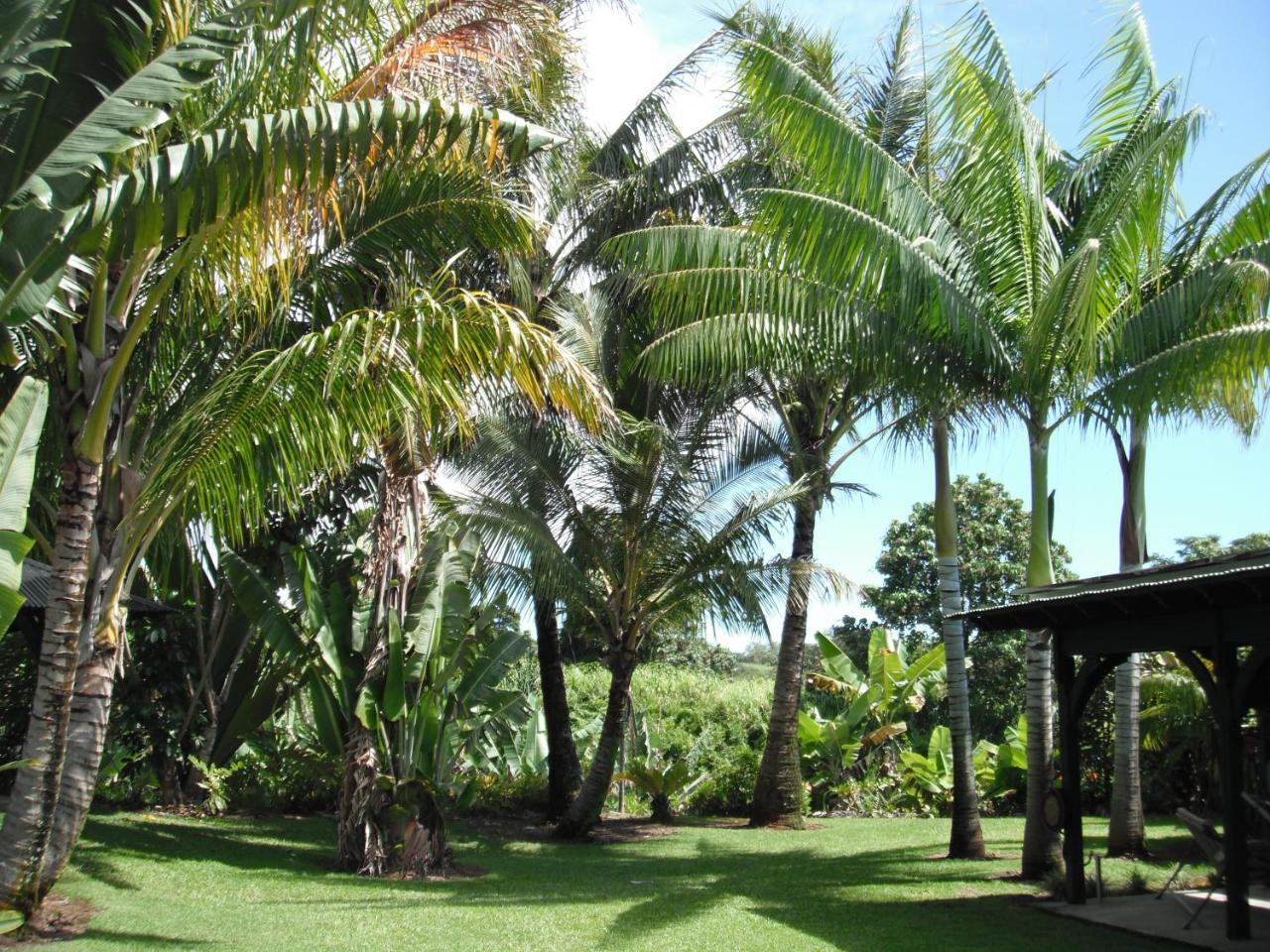 Island Goode'S - Luxury Adult Only Accommodation Near Hilo Papaikou Exteriör bild